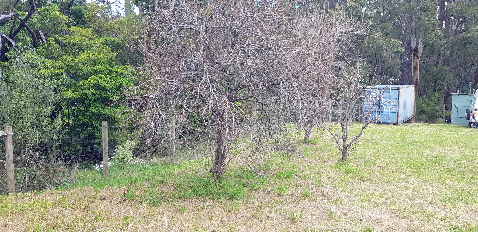 Additional image 8 of 99 Mirrabooka Road, Mallacoota VIC 3892