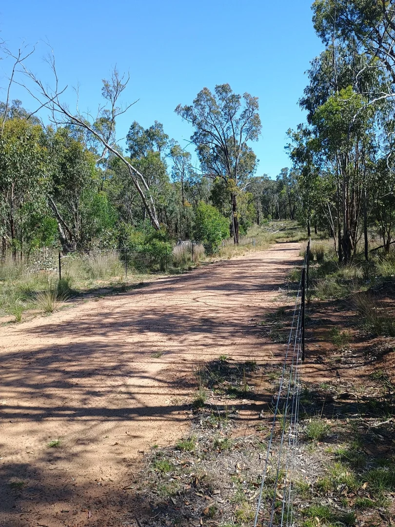 Additional image 15 of Coolah NSW 2843