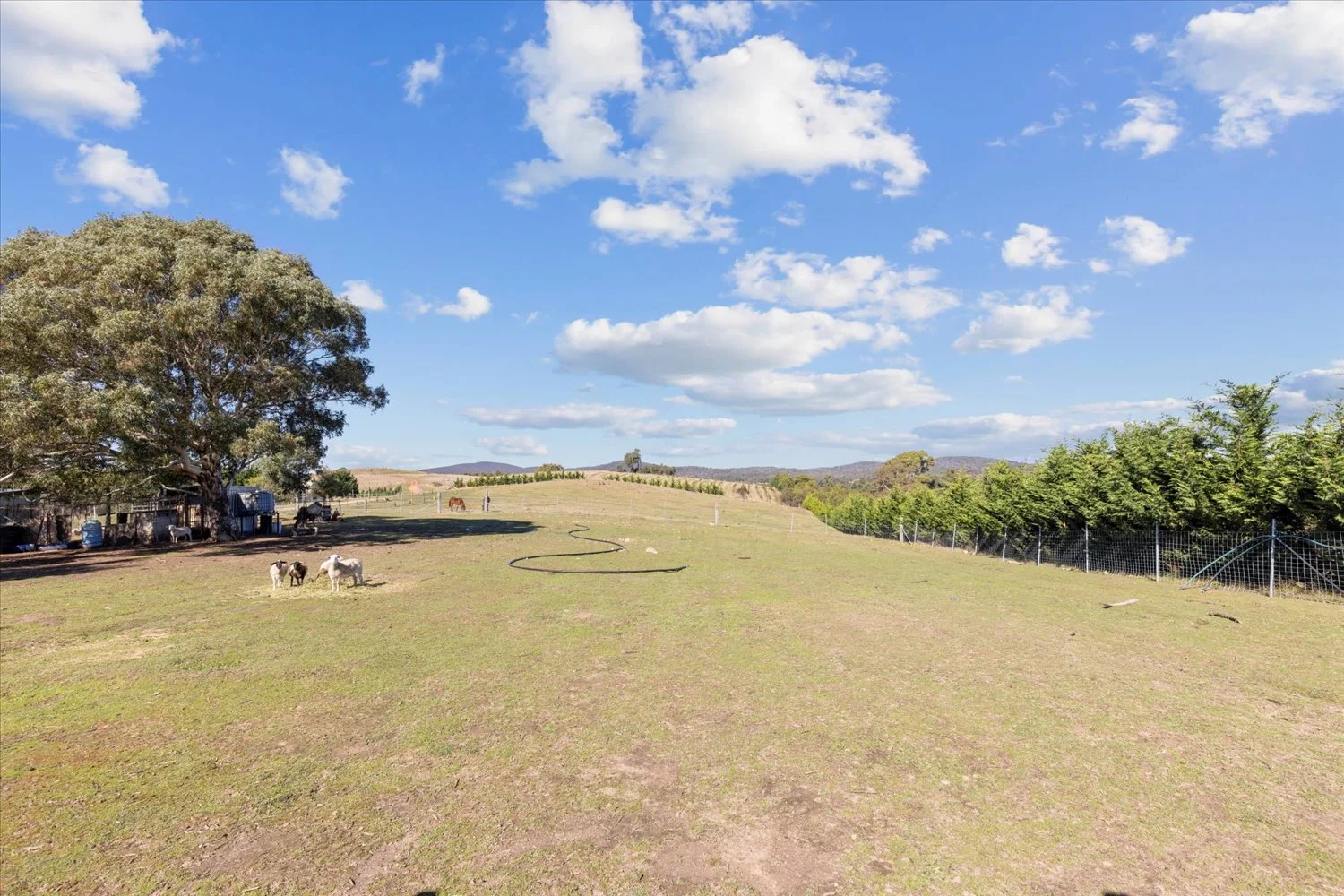 Additional image 12 of 134 Lakeview Road, Tarago NSW 2580
