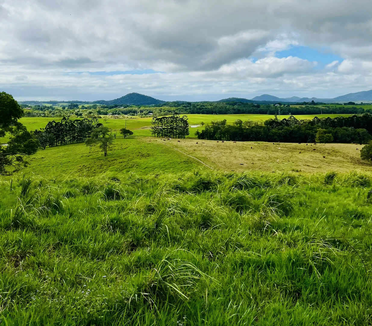 Additional image 46 of 1297 Mossman - Mt Molloy Rd, Julatten QLD 4871