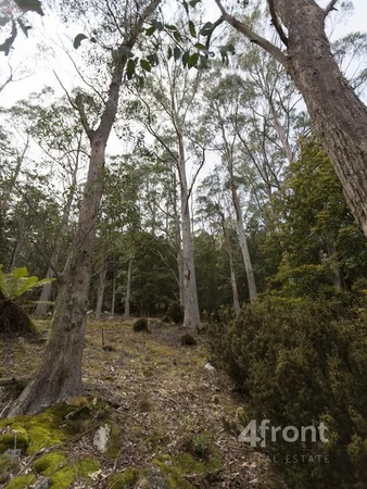Additional image 22 of 1 and 2/141 Tiers View Road, Golden Valley TAS 7304