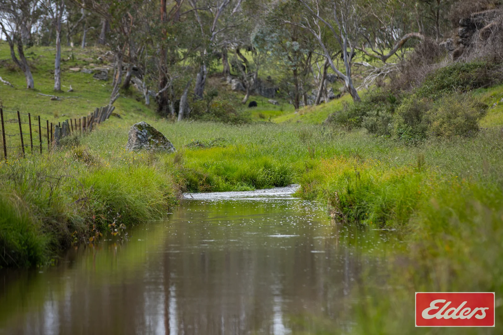 Additional image 21 of 72 Guyra Road, Ebor NSW 2453