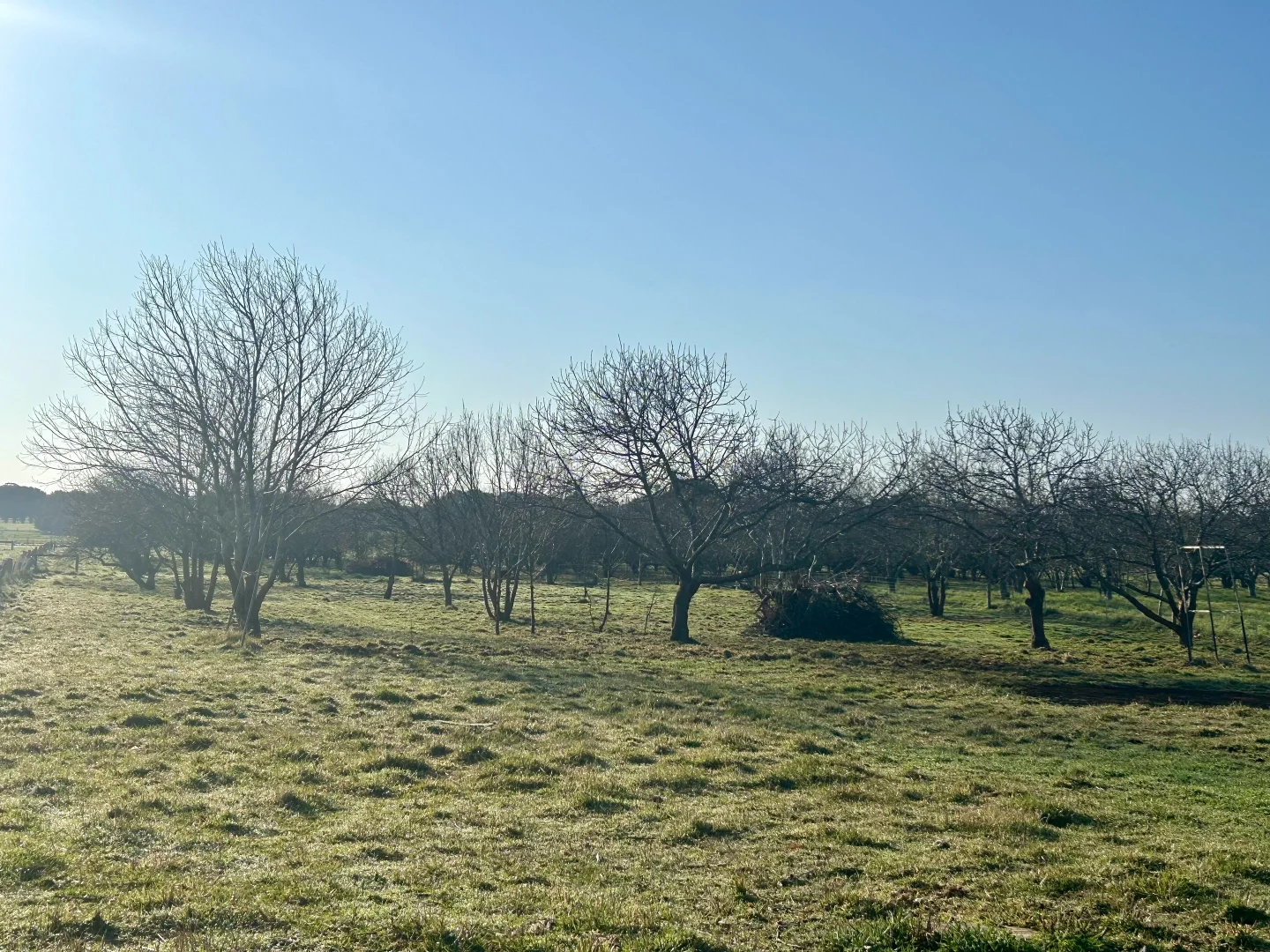 Additional image 9 of 703A James Lane, Trentham East VIC 3458