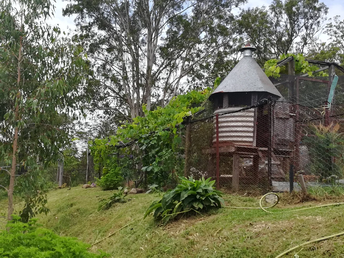 Additional image 5 of 123 Old School Road, Busbys Flat NSW 2469