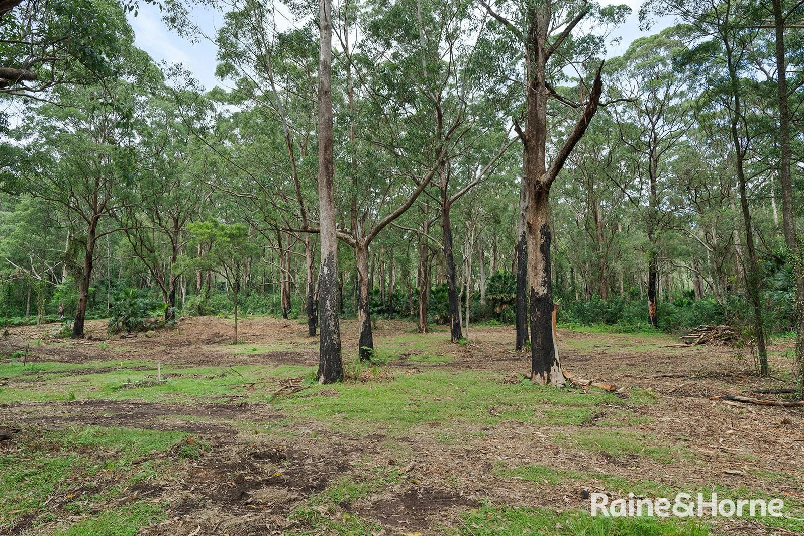 Additional image 17 of Lot 1 Selbys Road, Budgong NSW 2577