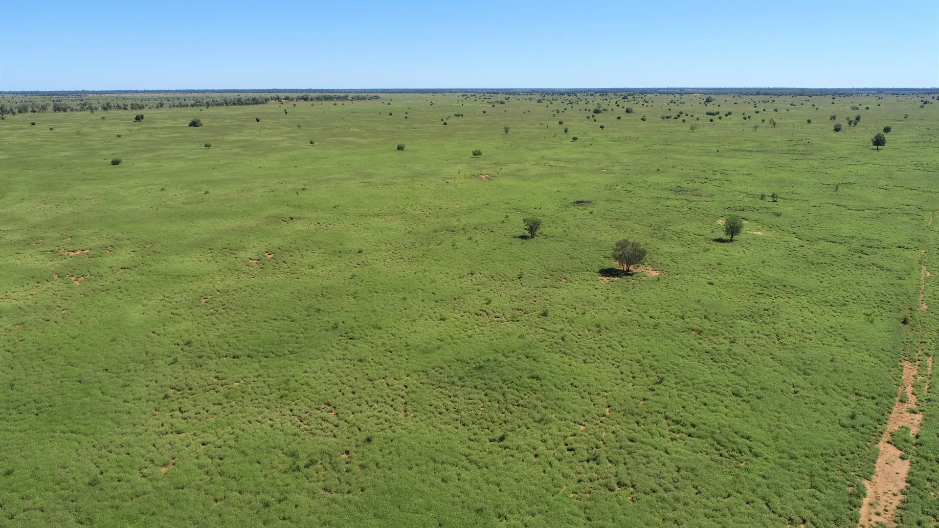 Additional image 4 of "Bonavista" 13724 Mitchell - St George road, Roma QLD 4455