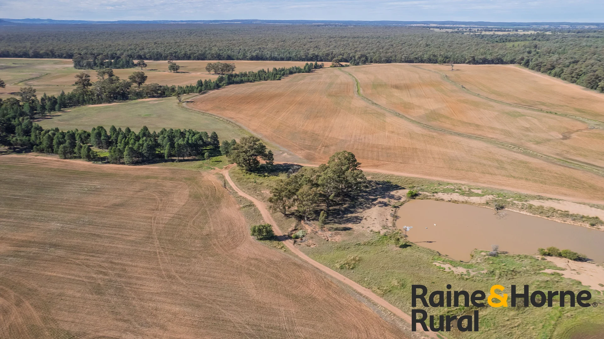 Additional image 18 of 1186 Newell Highway, Gilgandra NSW 2827