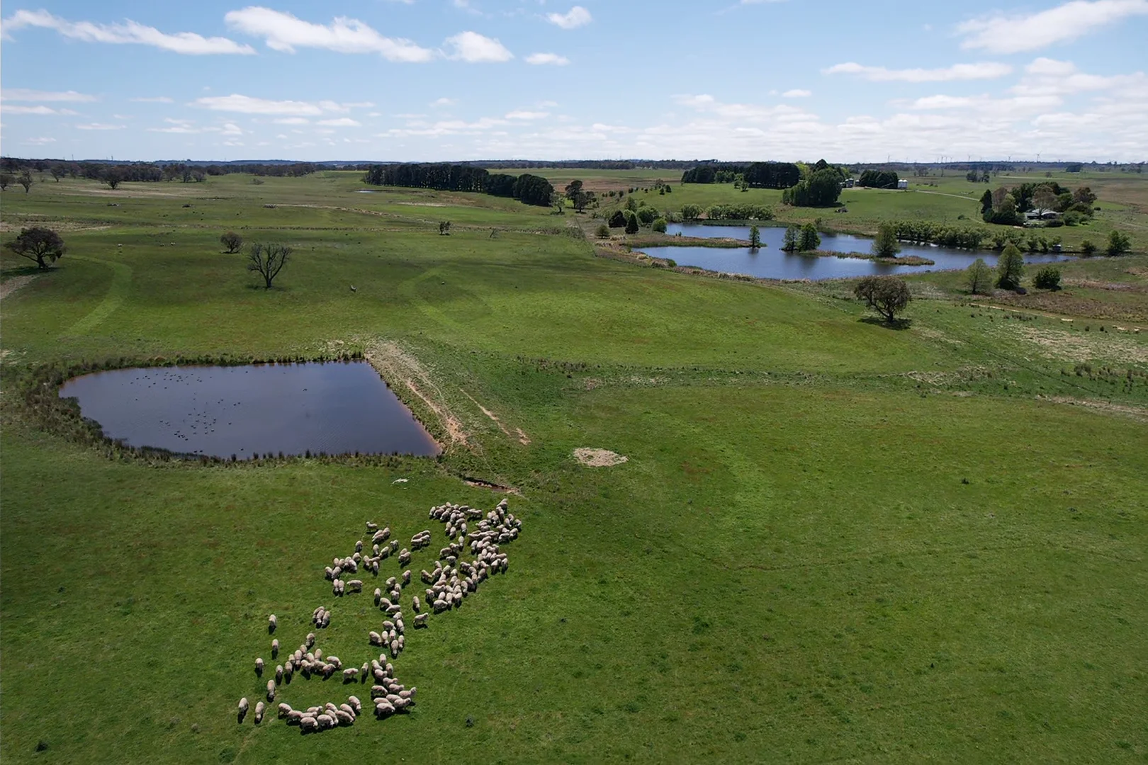 Additional image 13 of Gurrundah Road, Gunning NSW 2581