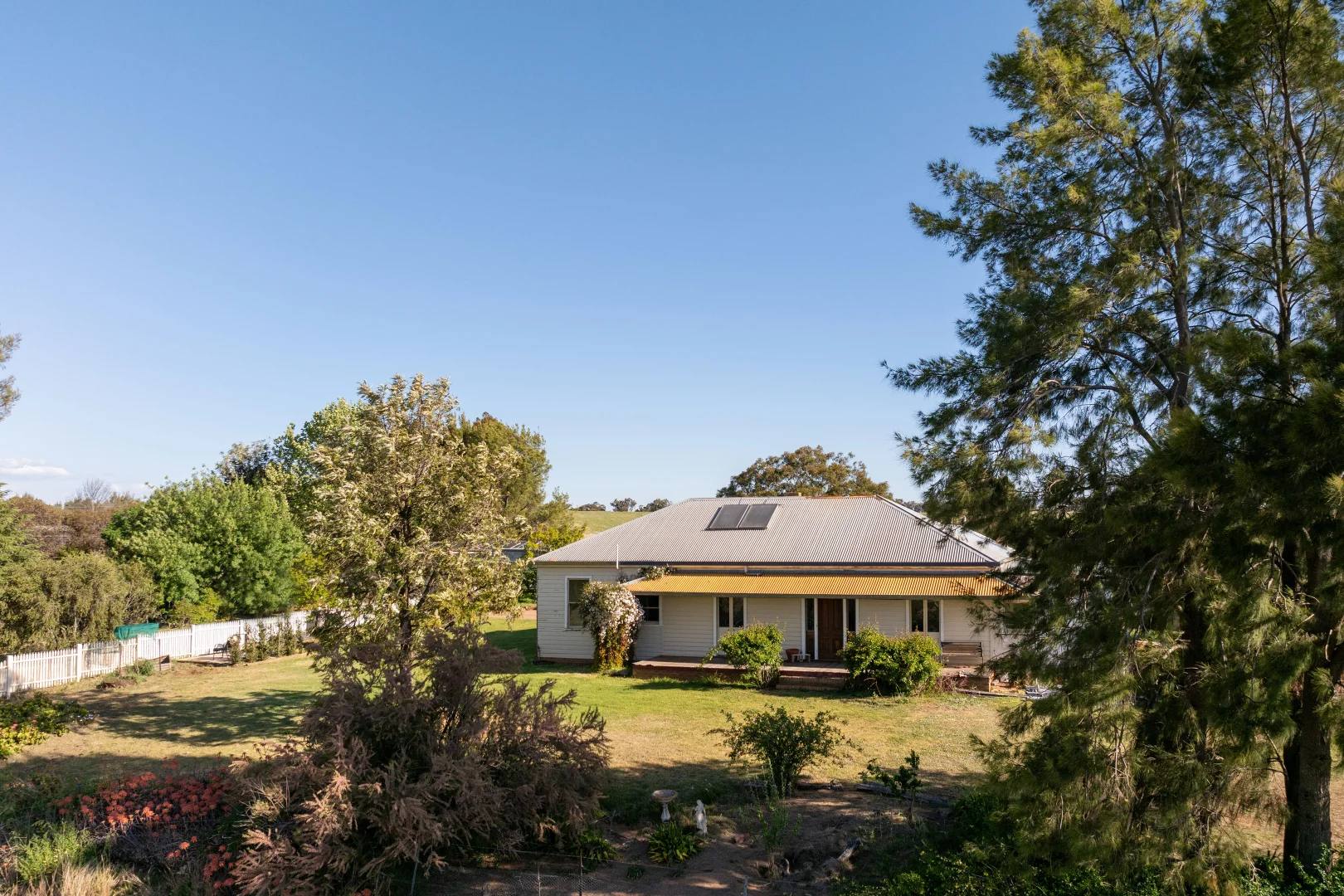 Additional image 11 of 251 Pattersons Lane, Young NSW 2594
