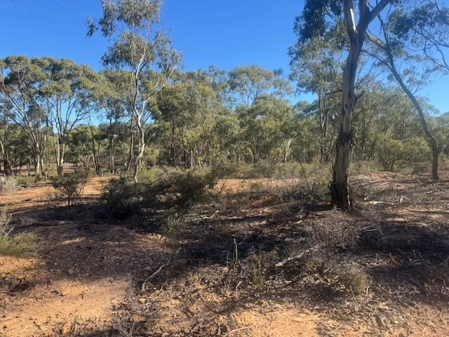 Additional image 13 of 2-20 Godfrey Street, Wedderburn VIC 3518