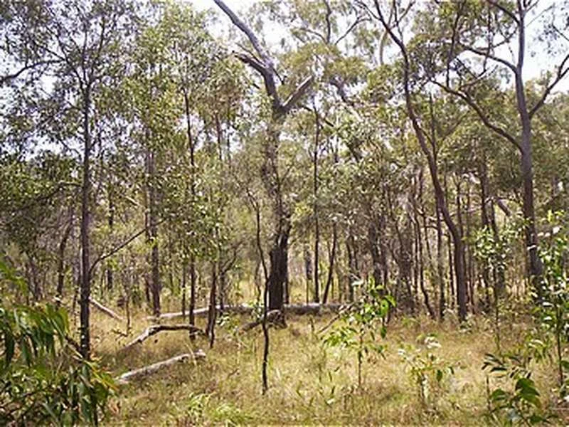 Additional image 7 of Captain Creek QLD 4677