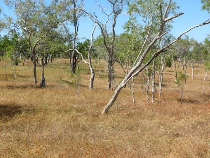 Additional image 26 of Van Lee Station, Mount Surprise QLD 4871
