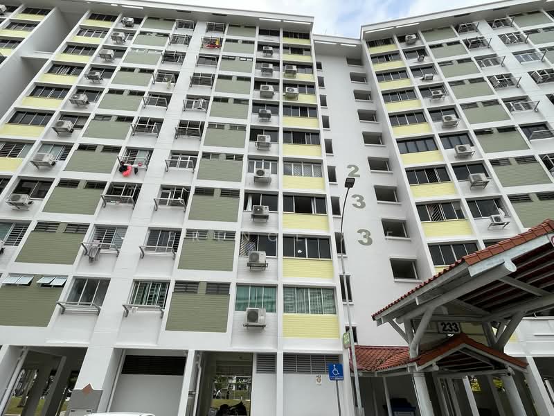 Additional image 6 of 233 Simei Street 4