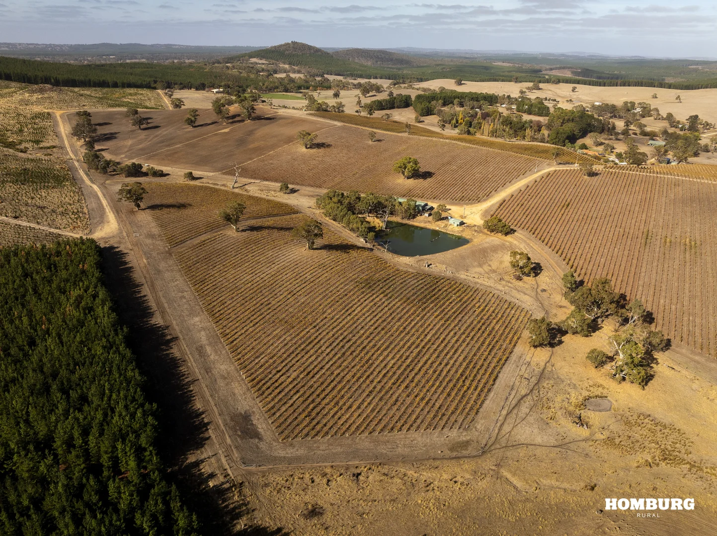 Additional image 9 of 453 Springton Road, Pewsey Vale SA 5351