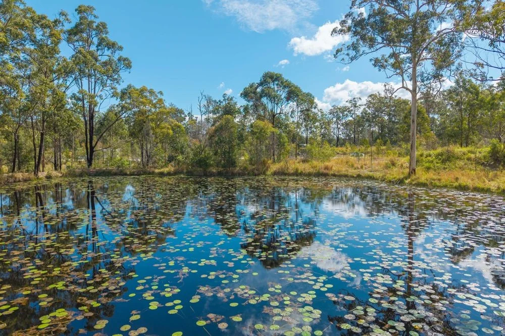 Additional image 2 of 115 Carlyle Avenue, Kundabung NSW 2441