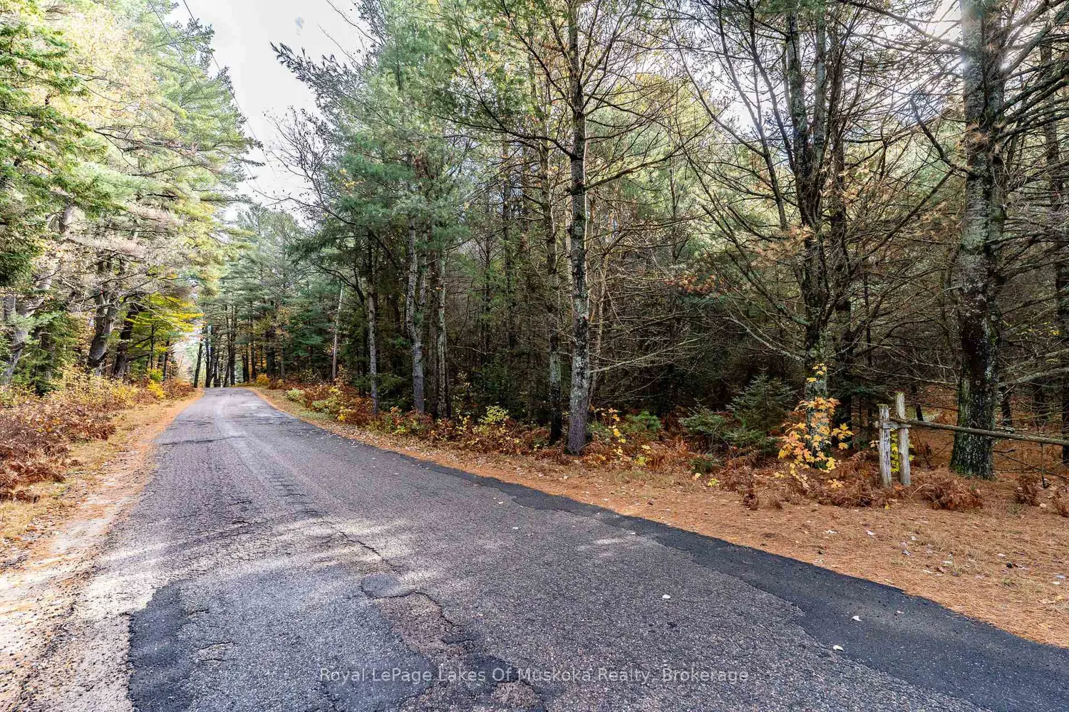 Additional image 6 of 267 & 321 Cardwell Lake Road