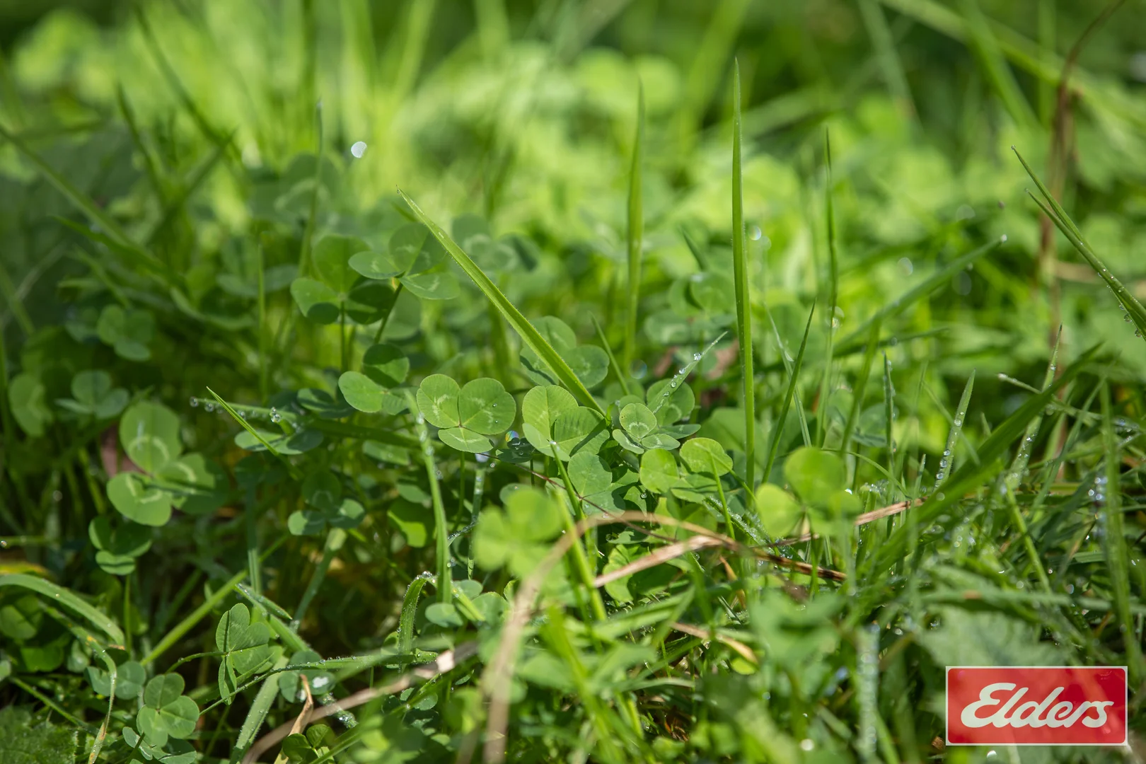 Additional image 12 of 72 Guyra Road, Ebor NSW 2453