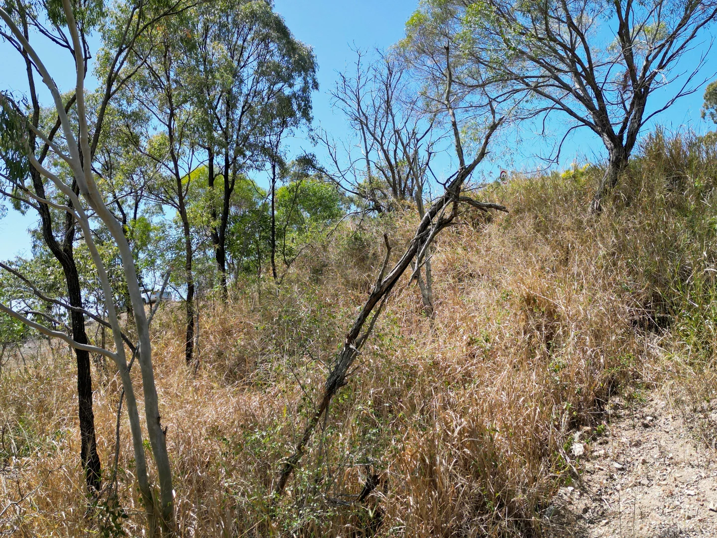 Additional image 14 of 56 Seaspray Drive, Agnes Water QLD 4677