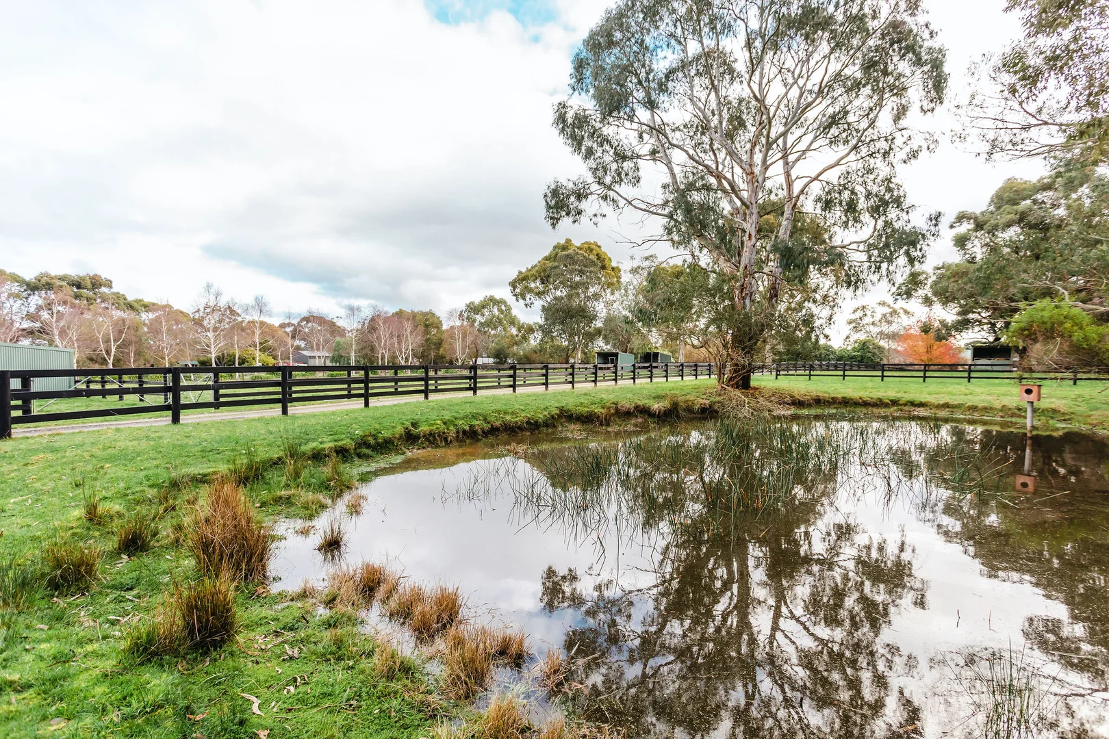 Additional image 20 of 349 Stumpy Gully Road, Balnarring VIC 3926