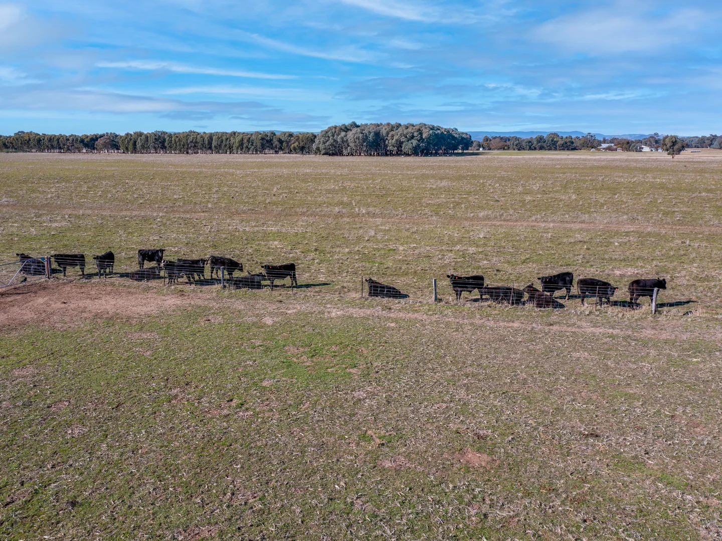 Additional image 17 of 00 Londrigan-Tarrawingee Road, Londrigan VIC 3678