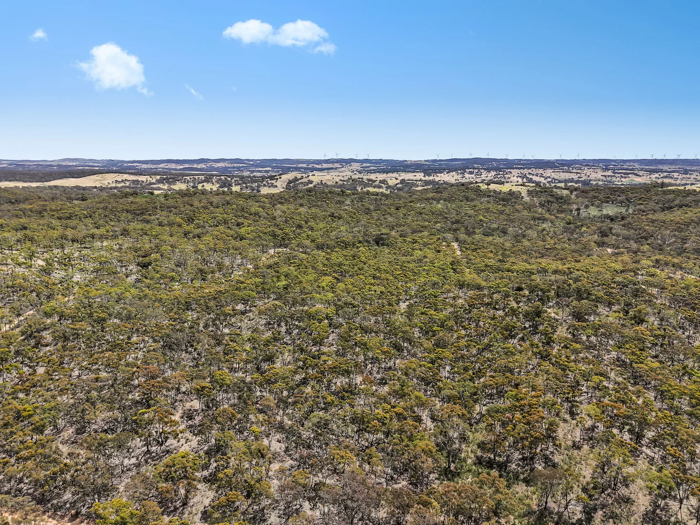 Additional image 5 of 157 Blakney Creek North Road, Bevendale NSW 2581