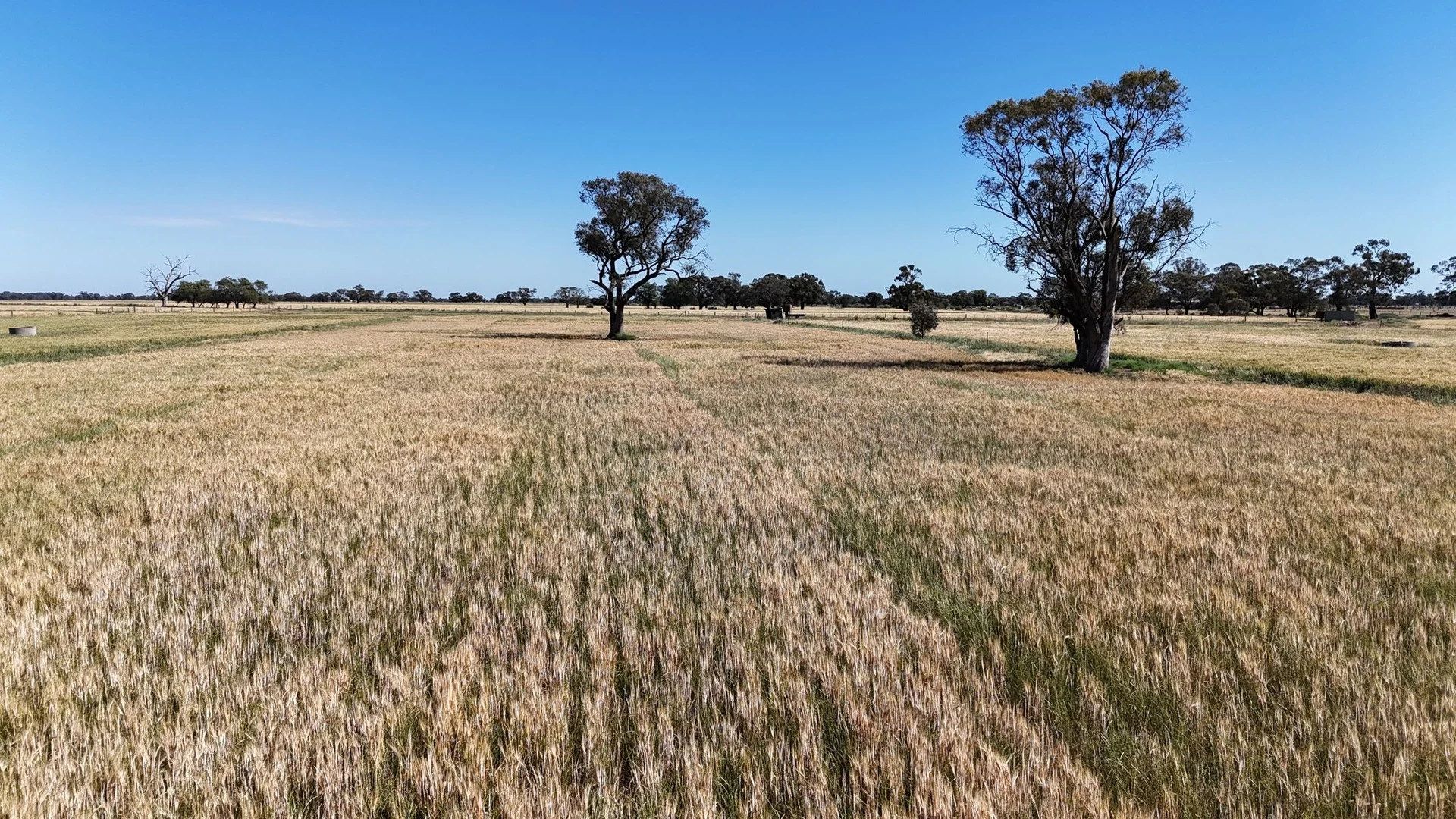 7172 Murray Valley Highway, Cullen VIC 3568