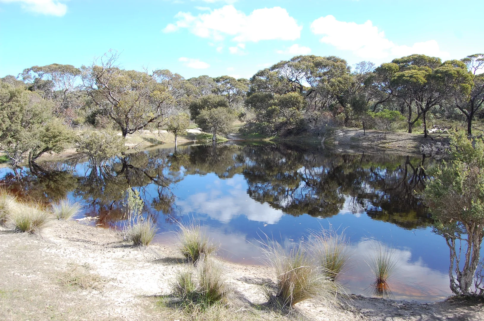 Additional image 8 of 1715 Coxalll Road, Munglinup WA 6450