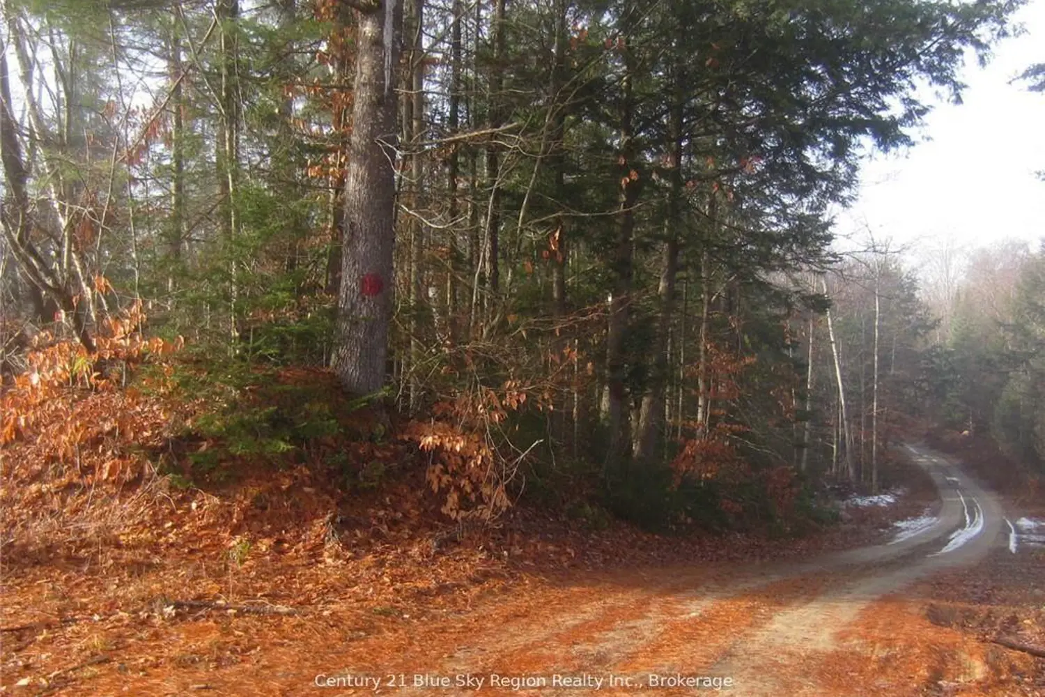 Additional image 6 of Lot 28 Concession 11