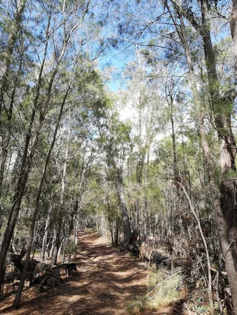 Additional image 18 of 328 Knights Creek Road, Murrah NSW 2546