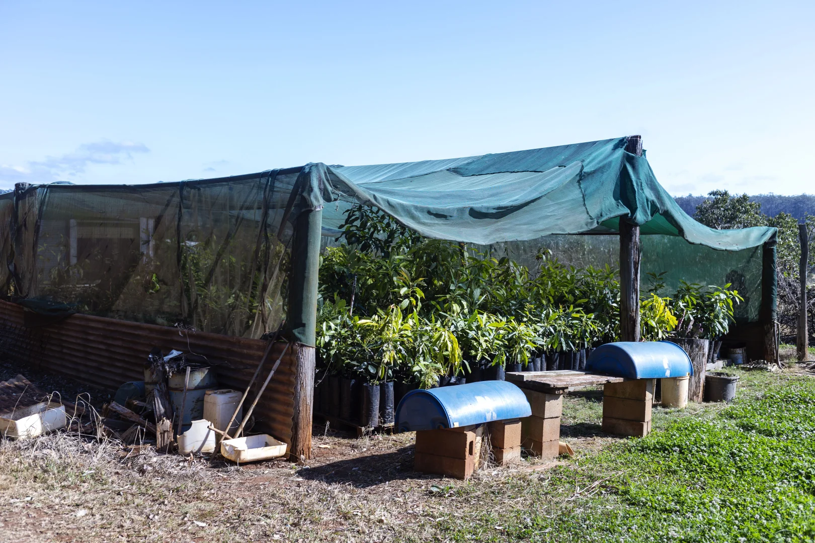 Additional image 32 of 107 Cherry Creek Road, Cherry Creek QLD 4314