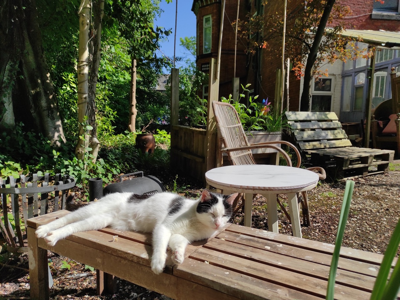 Additional image 4 of 7 Bed Semi-Detached House, Great Clowes Street, M7, N1 7GU