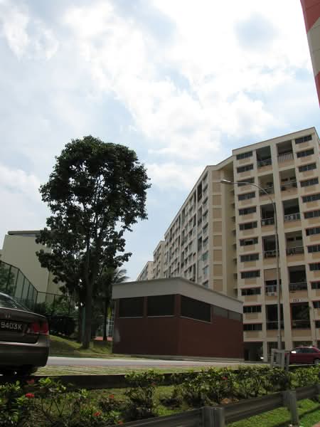 Additional image 21 of 133 Cashew Road