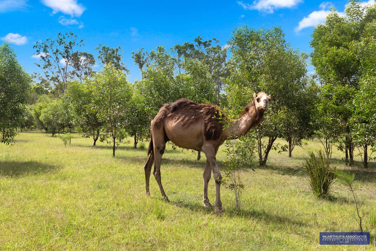 Additional image 22 of Bunya Creek QLD 4655