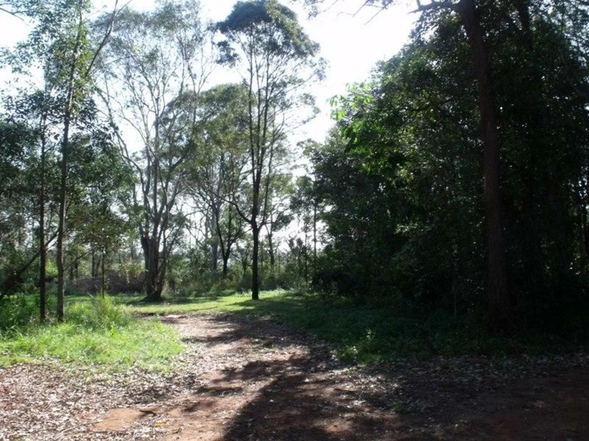 Additional image 2 of 91-125 kings road, Russell Island QLD 4184