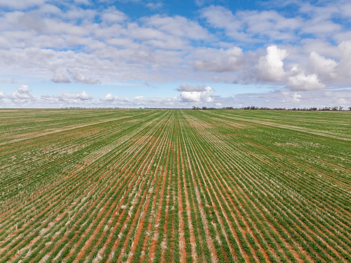 Additional image 6 of 2423 Petro Mail Road, Arumpo NSW 2715