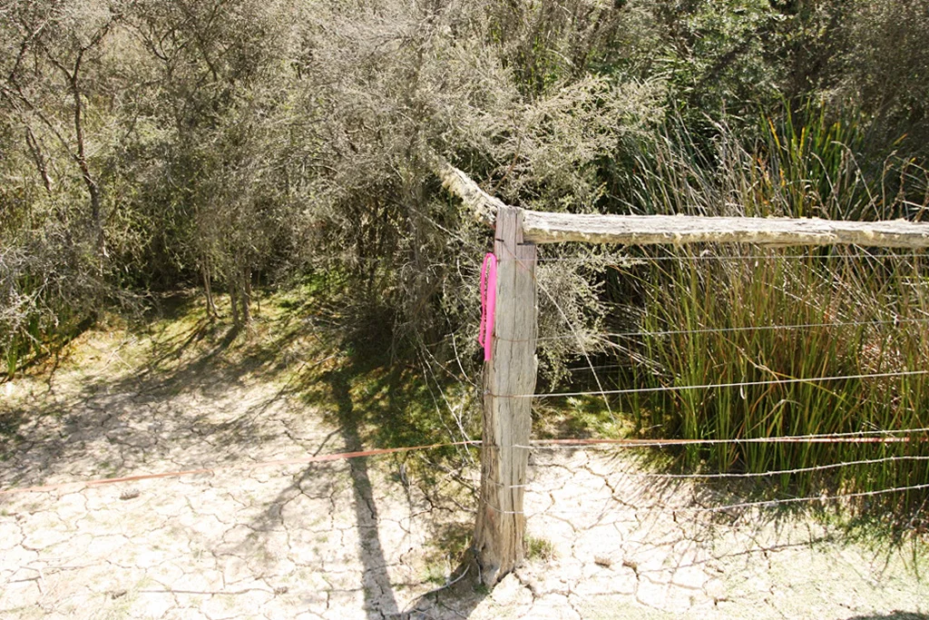 Additional image 6 of PID 7384430 North Ansons Road, Gladstone TAS 7264