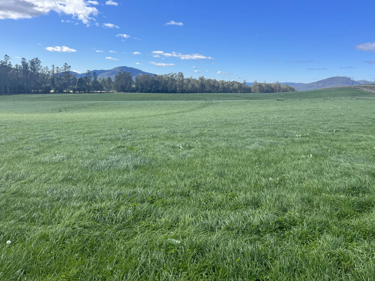 Additional image 14 of 630 Ten Mile Track, Springfield TAS 7260