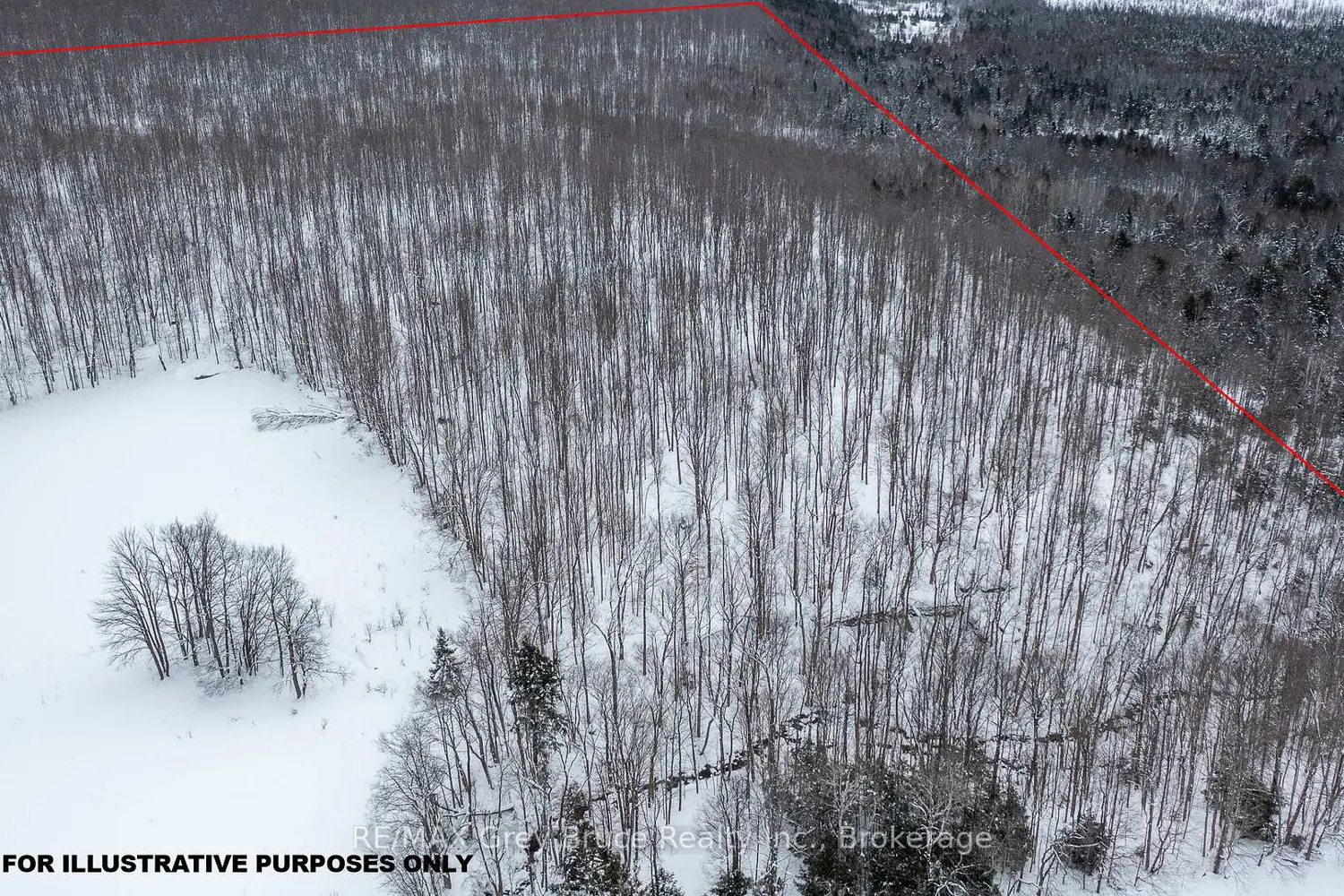 Additional image 10 of Lt 34 Con 23, Concession 24