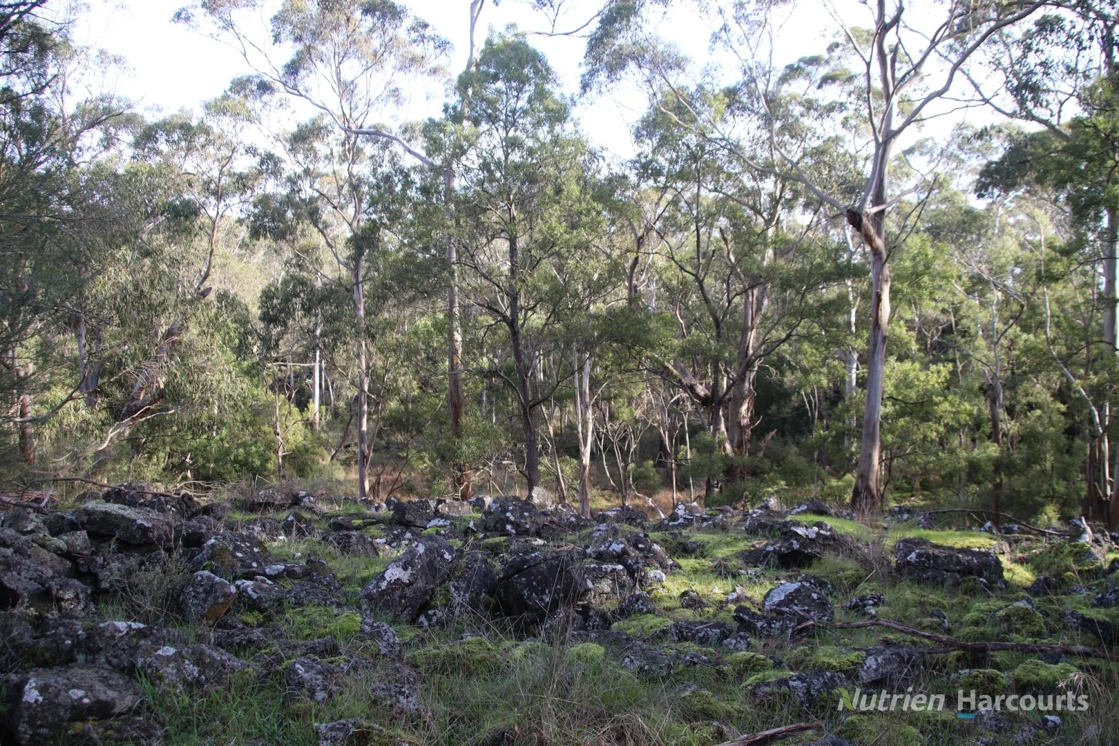 Additional image 4 of 1805 Princes Highway, Pirron Yallock VIC 3249