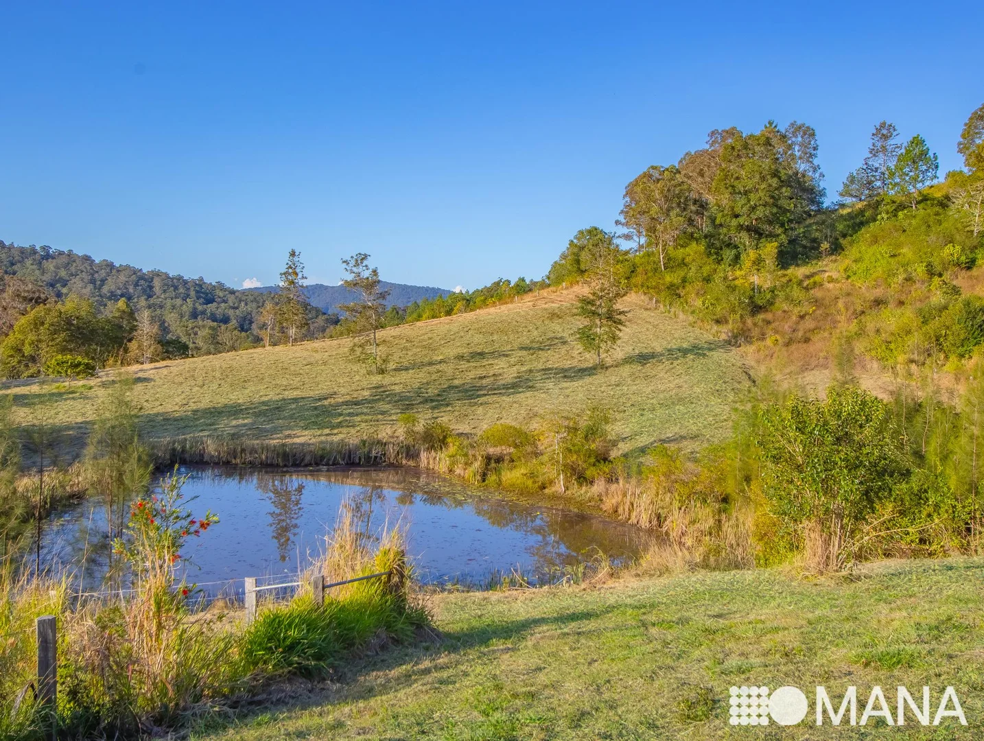 Additional image 6 of Lot 20/2981 Kyogle Road, Kunghur NSW 2484