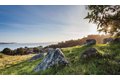 Additional image 28 of 350 Robin Dr, Corte Madera, CA, 94925