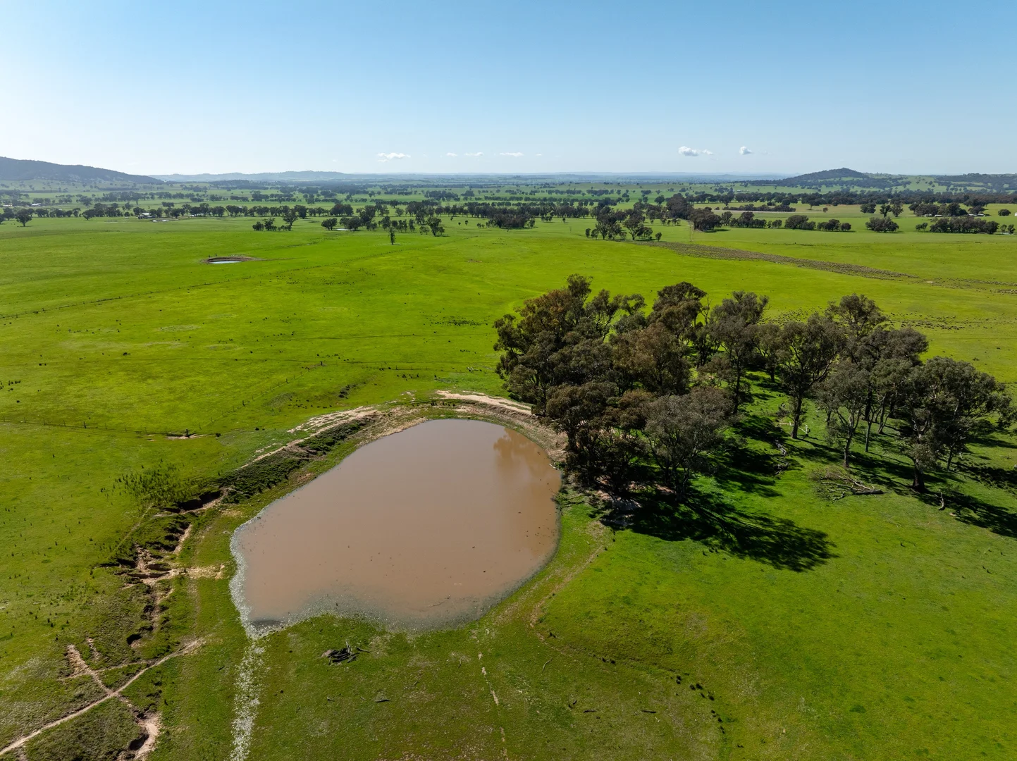 Additional image 7 of 25 Wrigleys Road, Big Springs NSW 2650