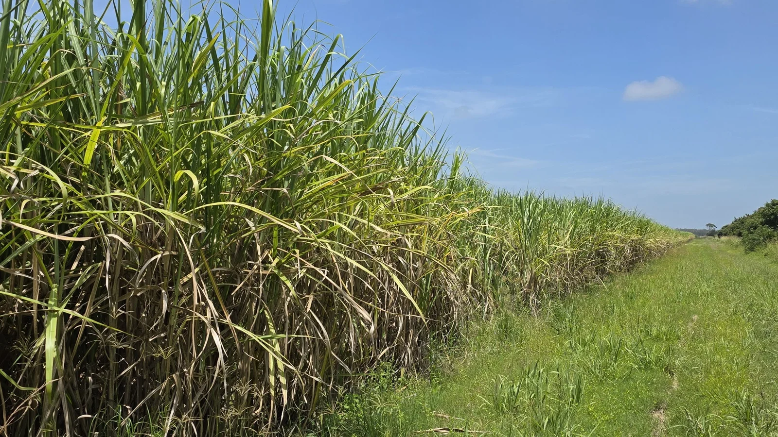 665 and 691 Kilgin Road, Kilgin NSW 2472