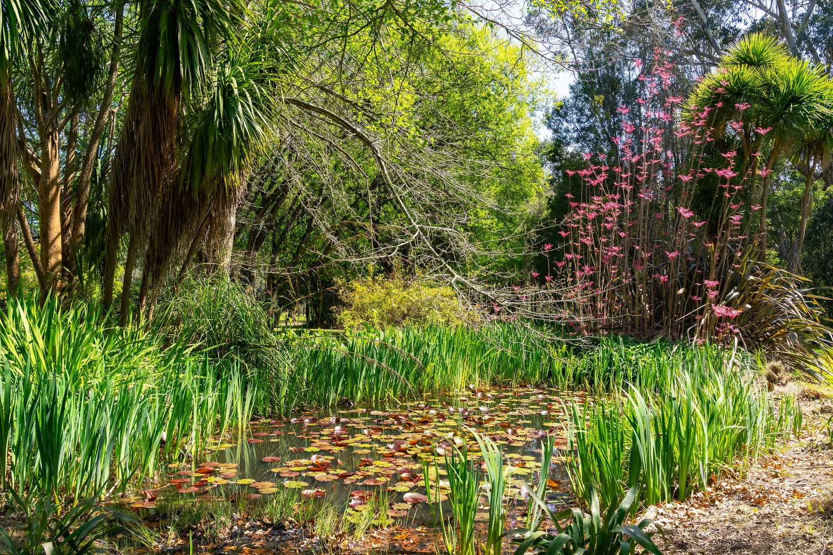 Additional image 19 of 20 Anderson Lane, Narbethong VIC 3778