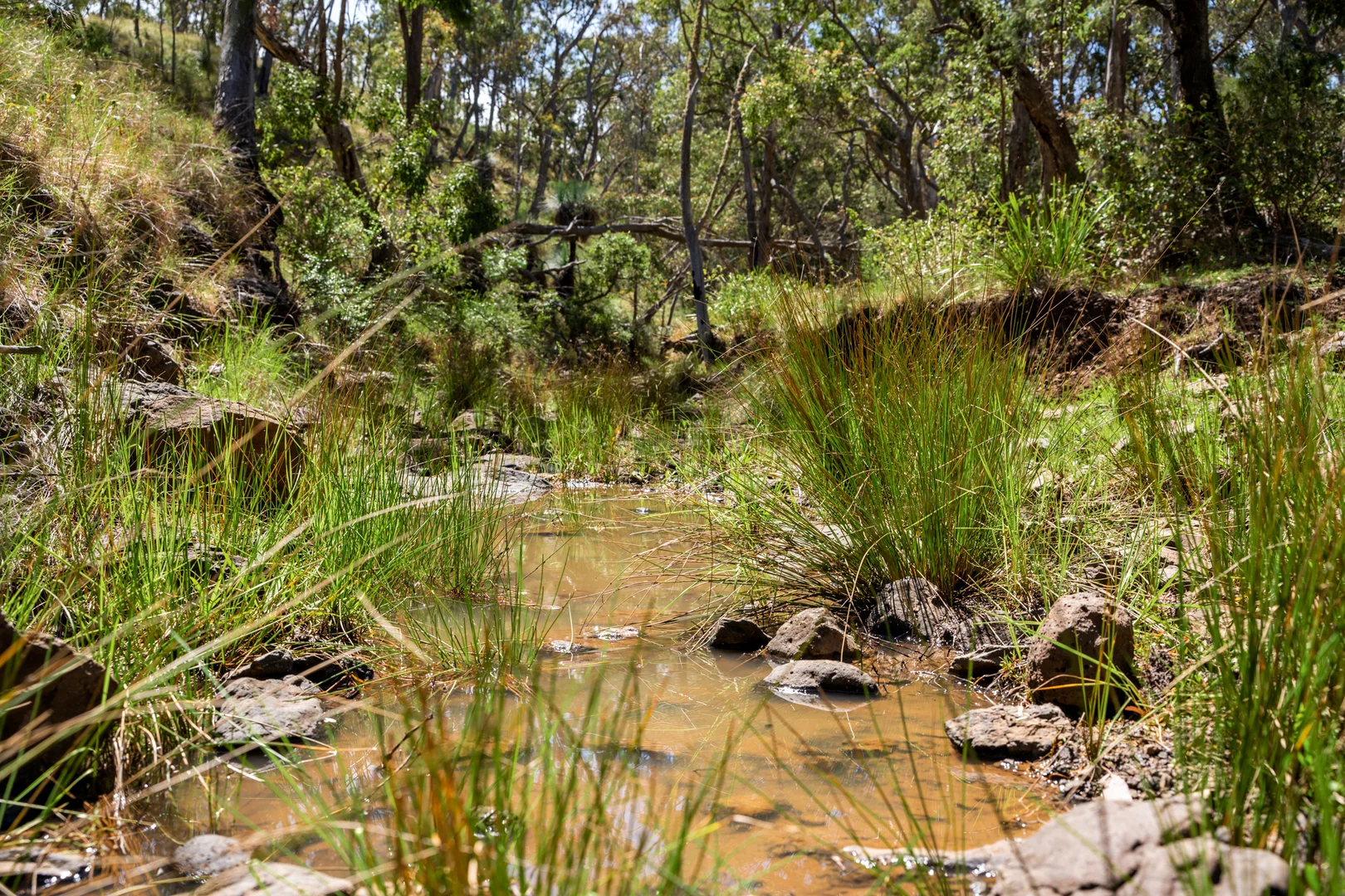Additional image 13 of 'Yabragunyah' Pilton Valley Road, Upper Pilton QLD 4361