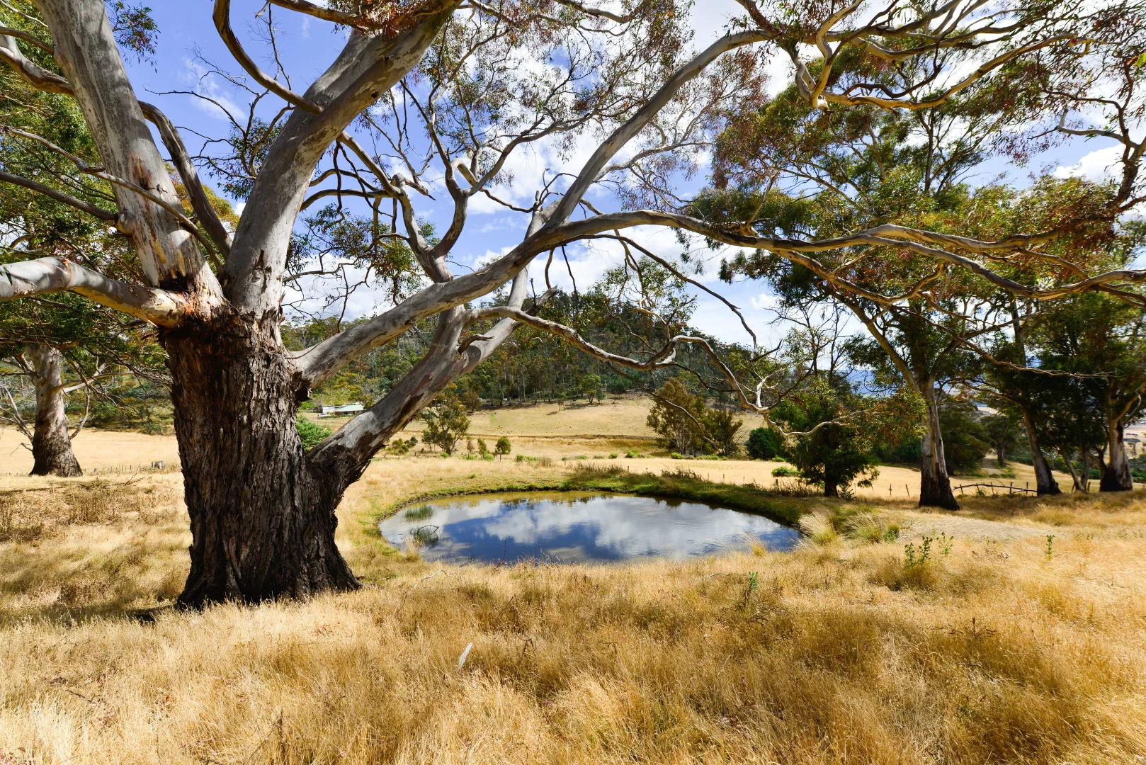 Additional image 4 of 17 Garth Lane, Black Hills TAS 7140