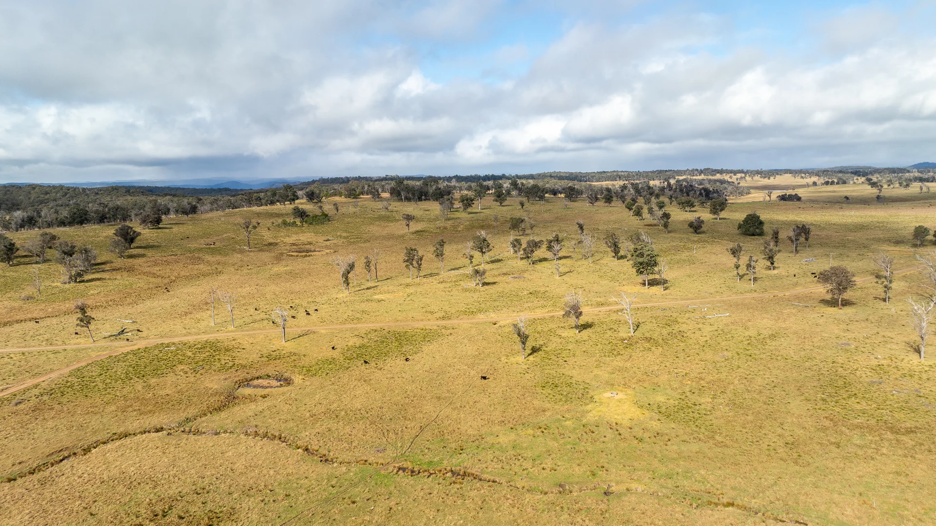 Additional image 23 of 737 Dyamberin Road, Wongwibinda NSW 2350