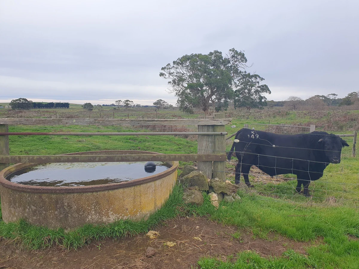 Additional image 10 of 546 Koallah Pomborneit Road, Koallah VIC 3260