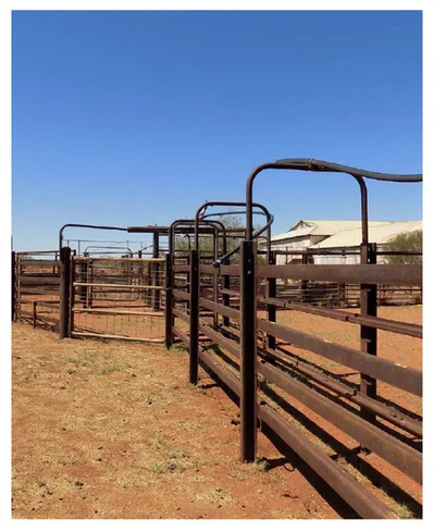 Additional image 19 of Yoothapina Station, Meekatharra WA 6642