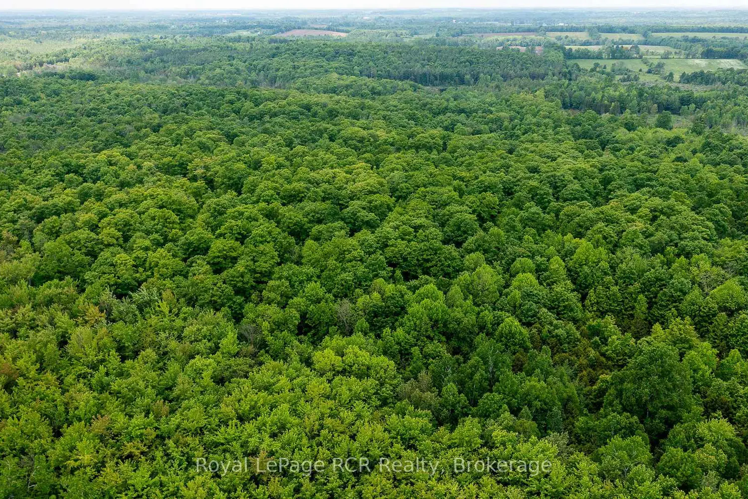Additional image 2 of N/A Sunny Valley Road
